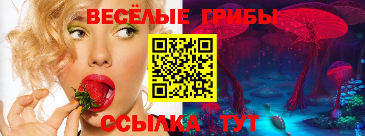 Усть-Джегута  Галлюциногенные грибы GOLDEN TEACHER  Галлюциногенные грибы Psilocybe  Вход с VPN 
